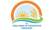afiş